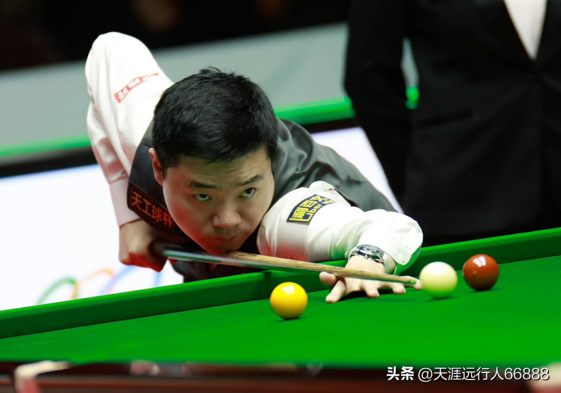 新星林葳崭 新星林葳崭