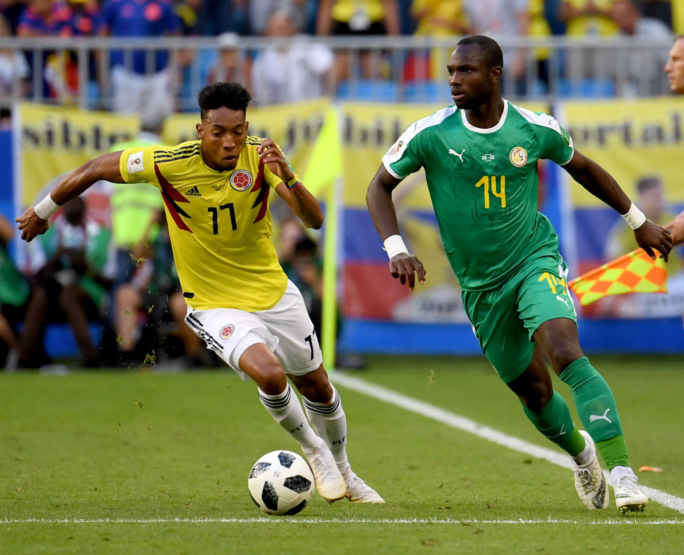 罗尔费斯希 罗尔费斯希